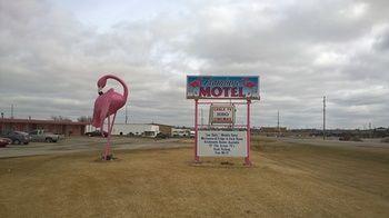 Flamingo Motel Marshalltown Exteriör bild